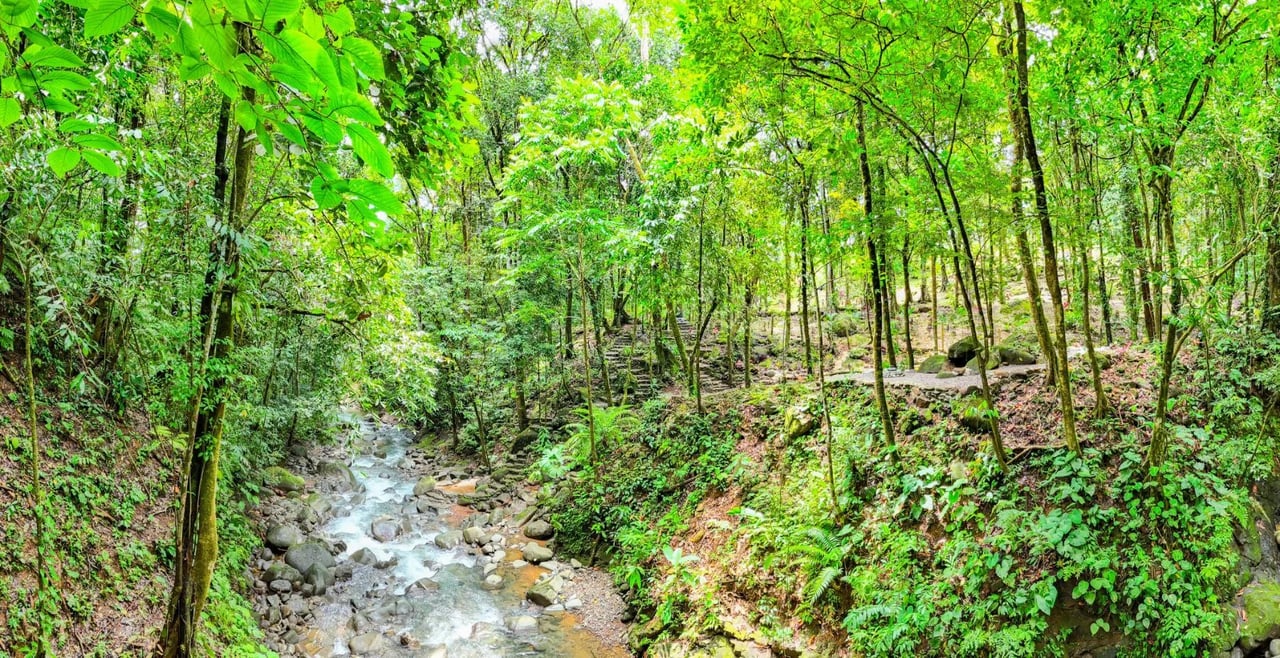 Private Waterfall Jungle Villa, Ojochal, Puntarenas