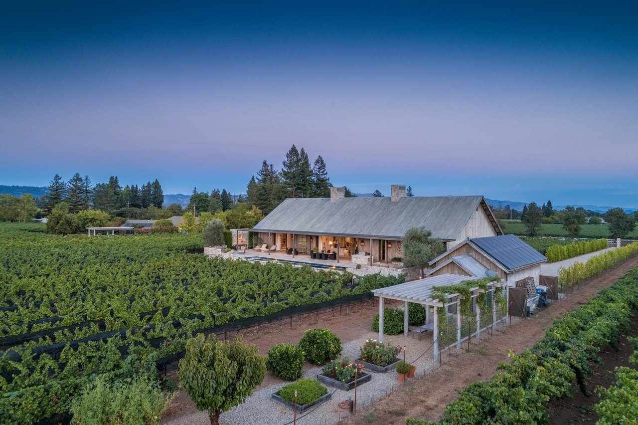 Inside the Adler Deutsch Vineyard