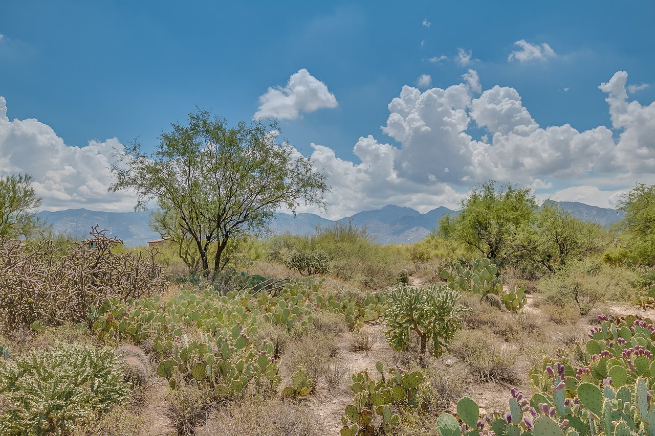 Incredible, Unobstructed Catalina Mountain Views
