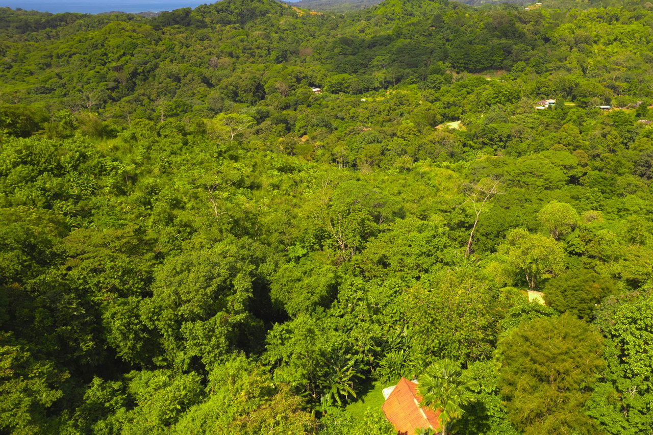 Cozy Sunset Ocean-View Bungalow On 3.5 Acres Of Jungle With Creeks, & Abundant Wildlife In Tres Rios Costa Rica