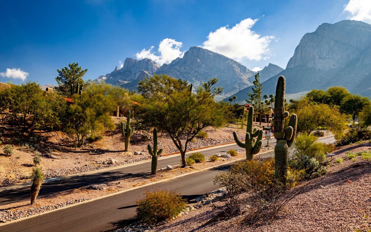 McDowell Mountain Ranch