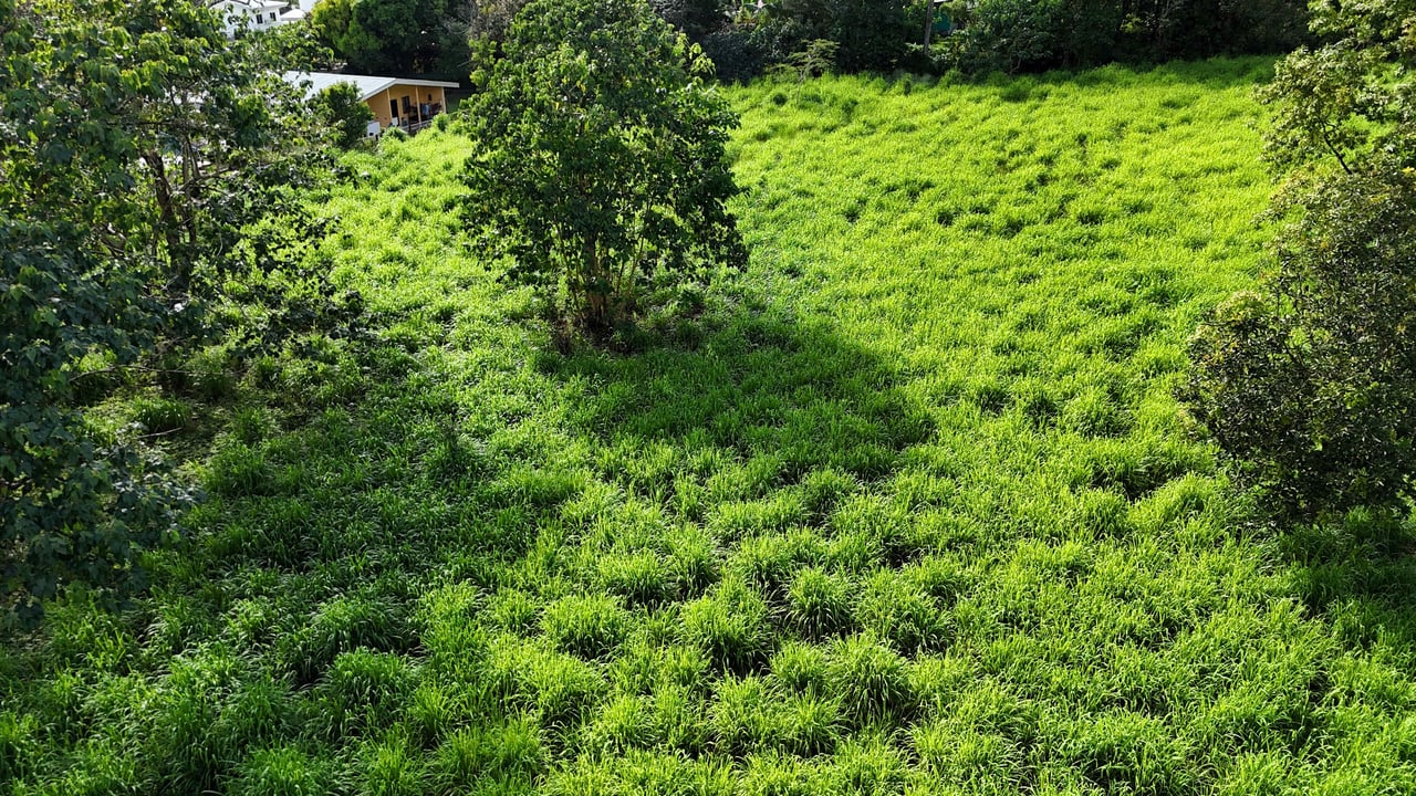 Over 3 Acres, Mountain View Lot in the Heart of Ojochal, Ready for Development!.