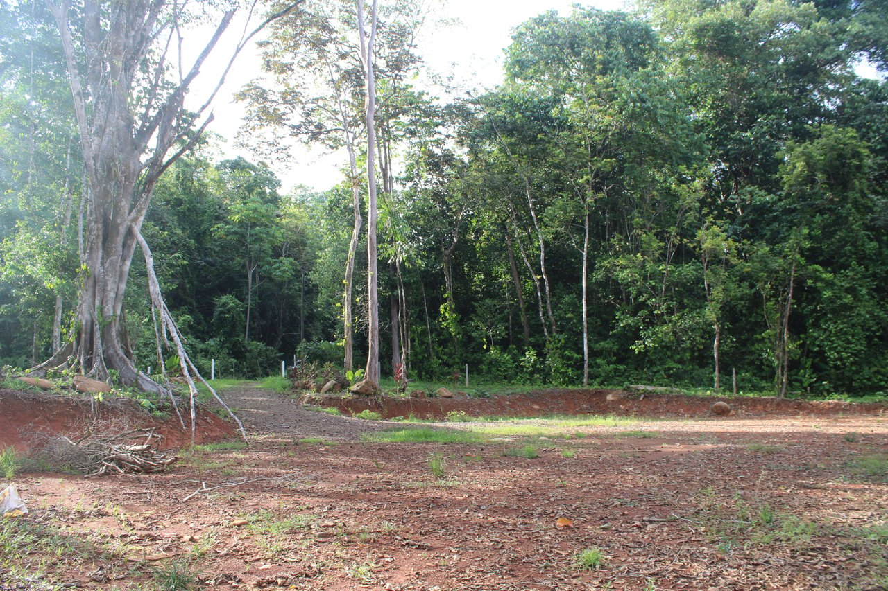 River Frontage Lot close to Uvita