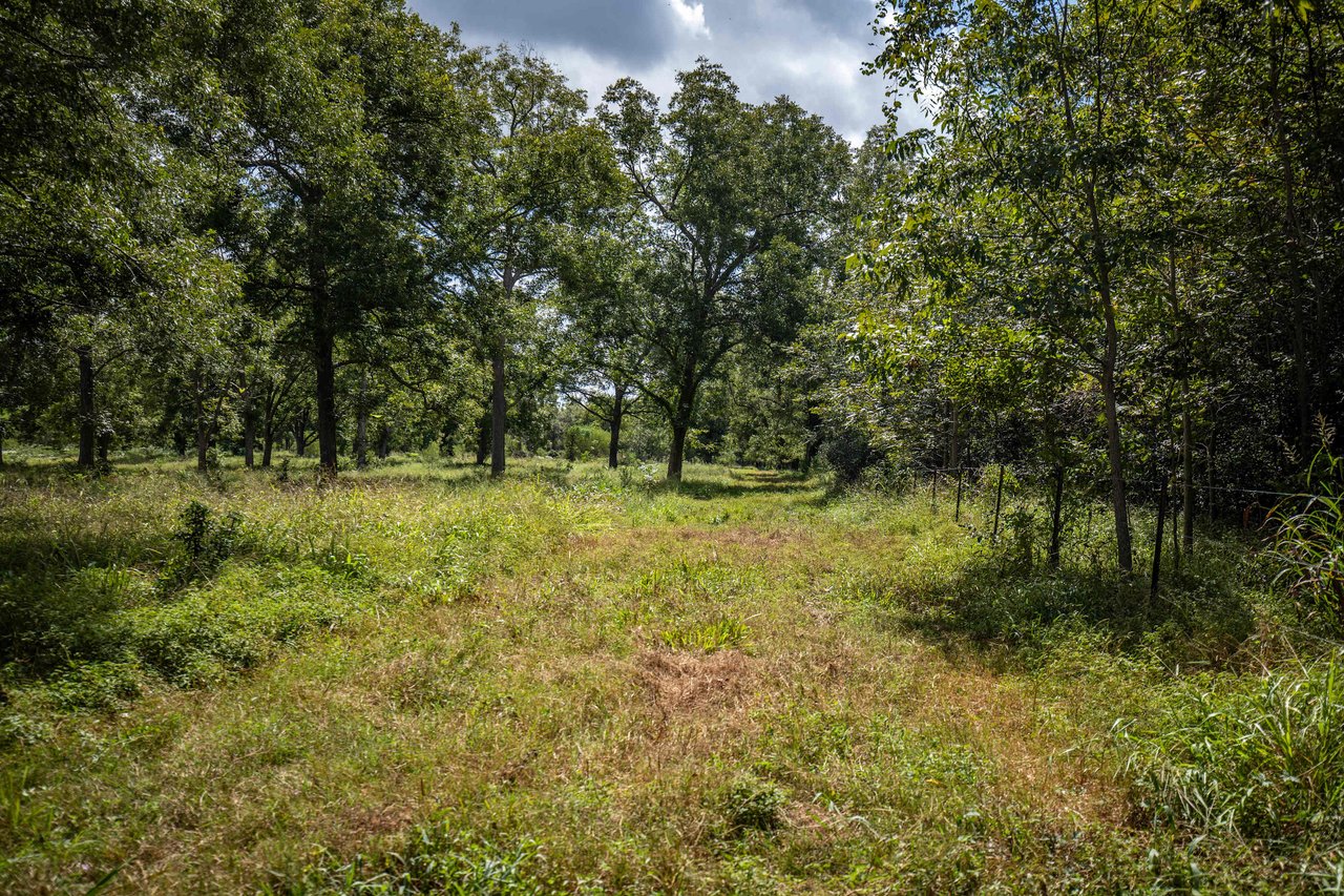 Lovers Lane River Ranch | 140± Acres | DeWitt County