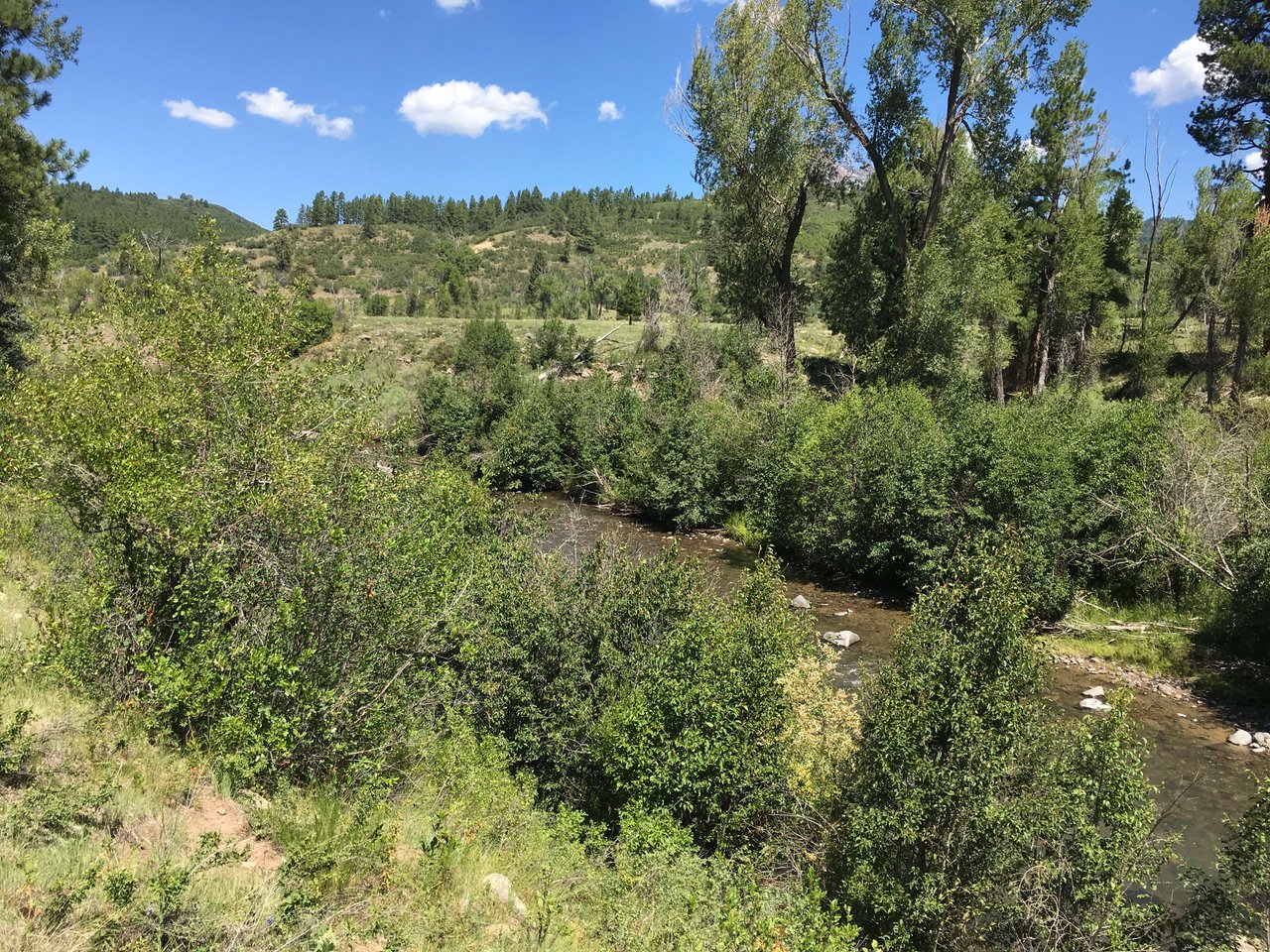 Southern Colorado Riverfront Mountain Ranch