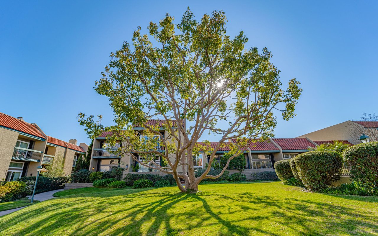1070 Palo Verde Avenue