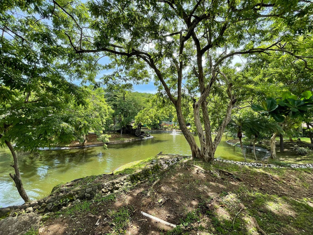 Senderos Lot | Phase 1 Luxury Gated Community Turn Key Lot!