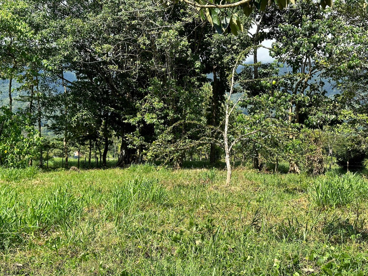 Over 3 Acres, Mountain View Lot in the Heart of Ojochal, Ready for Development!.