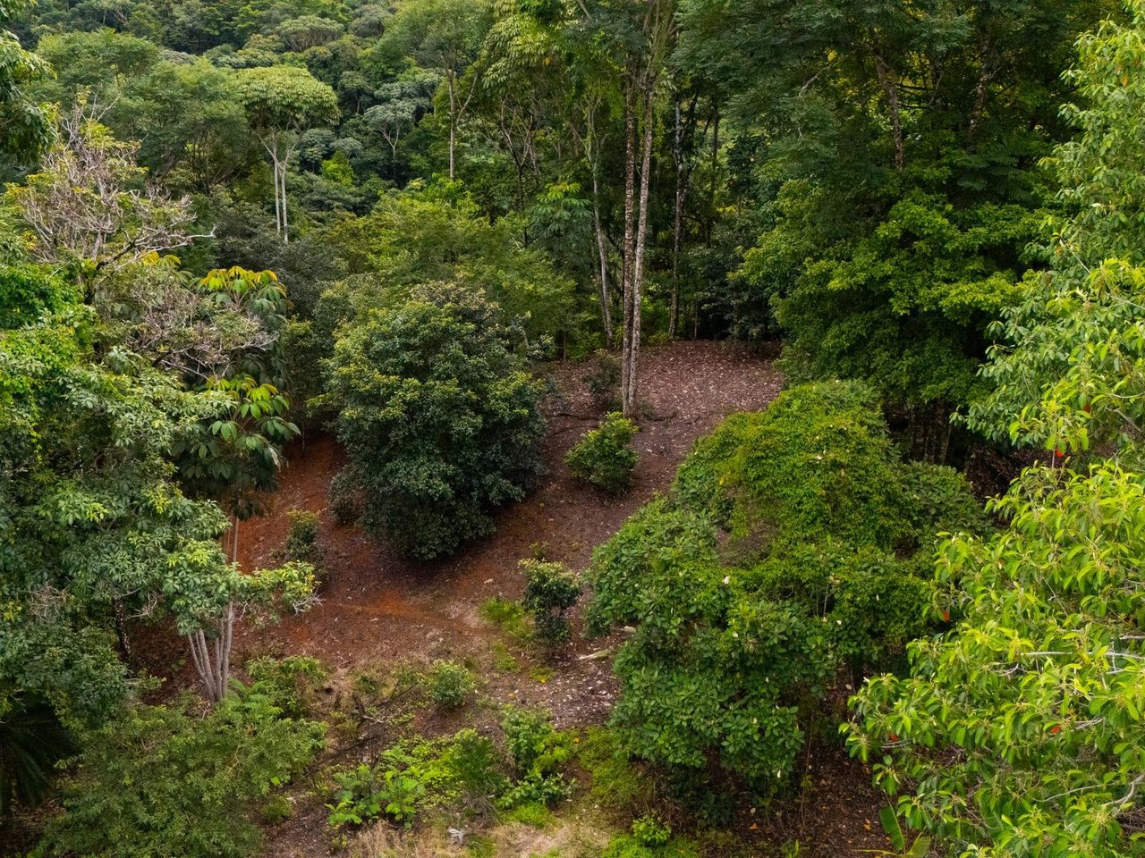 Prime Highway Commercial Lot, Uvita, Puntarenas