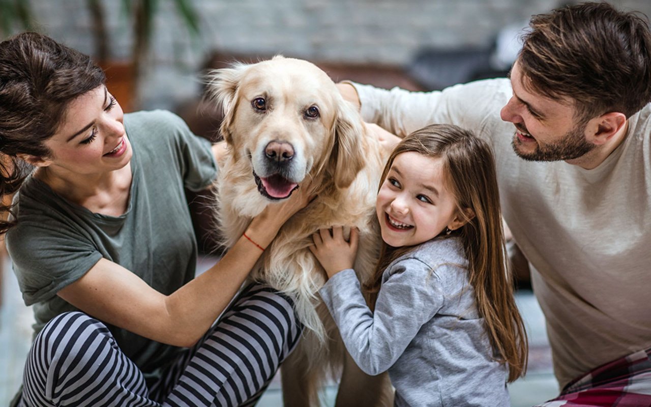 Pets Can Teach Kids Valuable Life Lessons