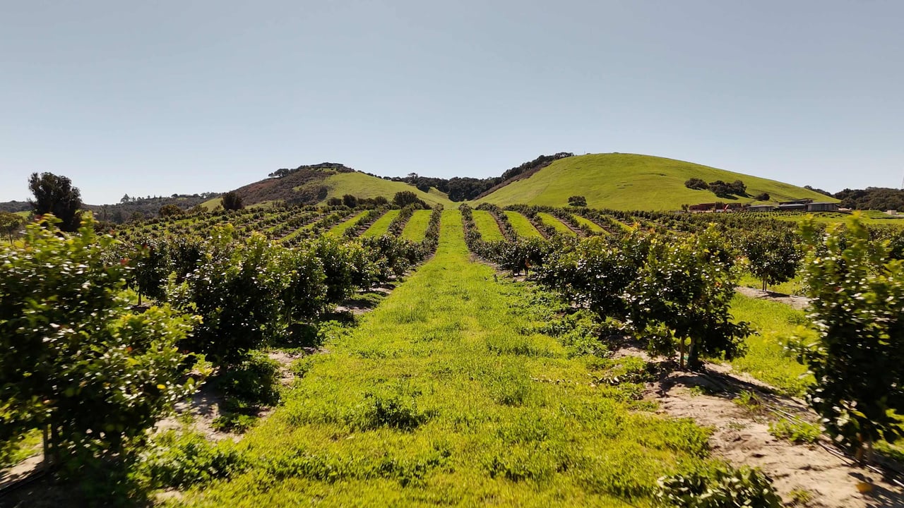 6944 Union Road Paso Robles Winery