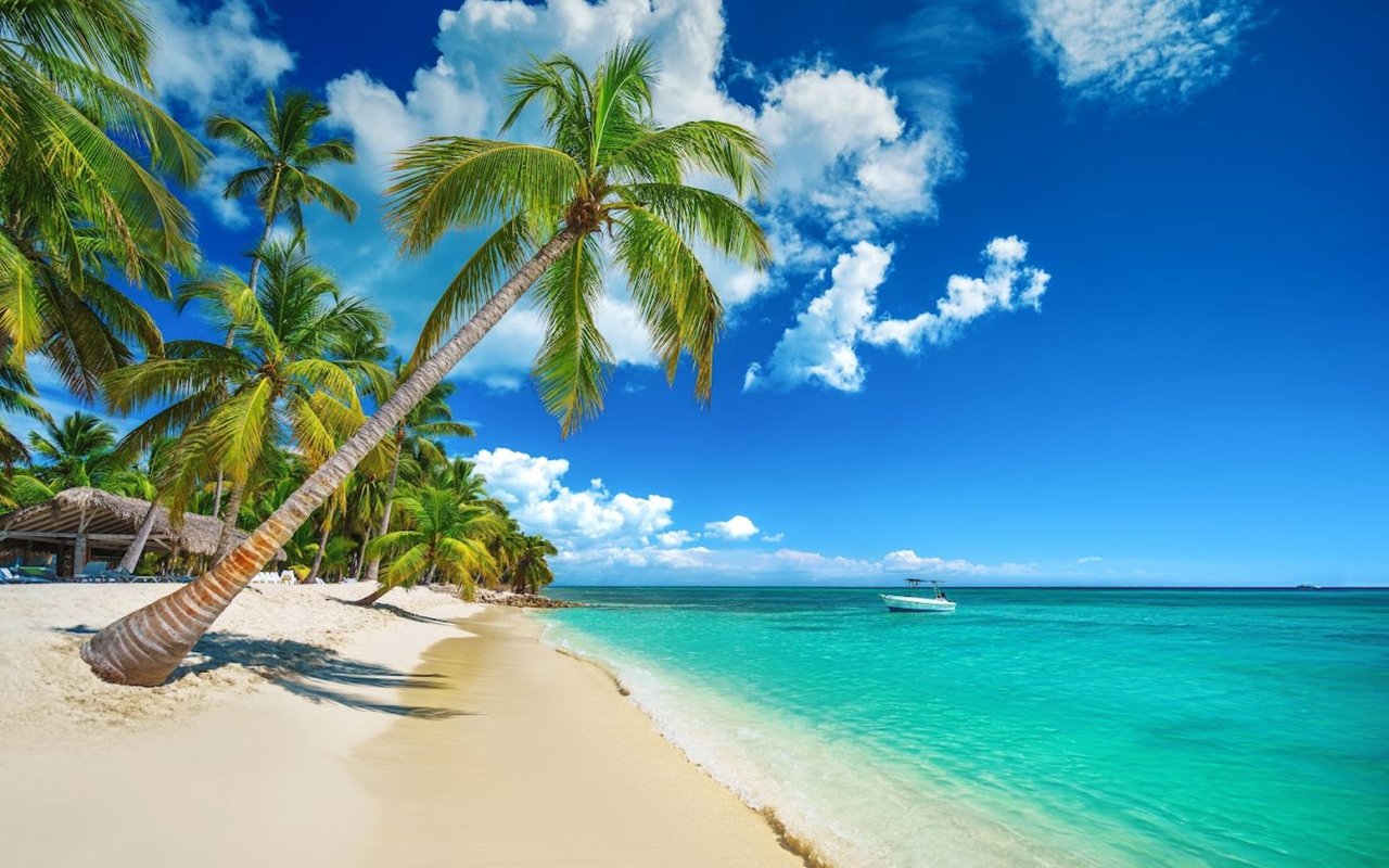 Things to Do in Dorado Beach