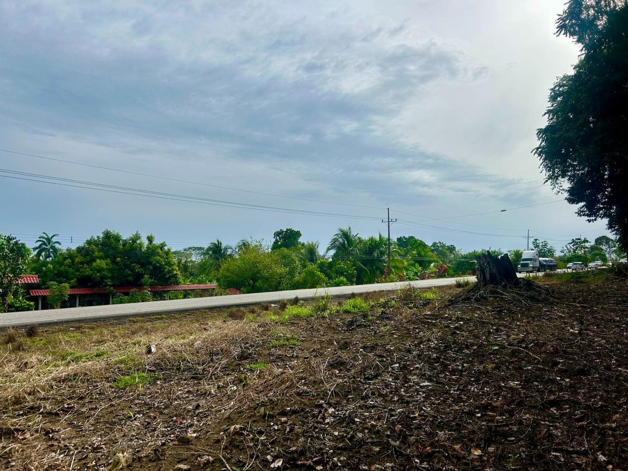 Flat Commercial Development Lot, Osa, Puntarenas