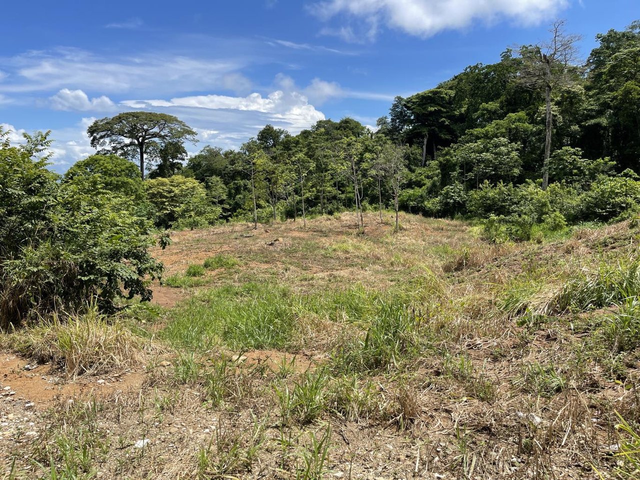 15.9 ACRES – Ocean View Development Property With Legal Water, Public Road, 5 Min From Highway!