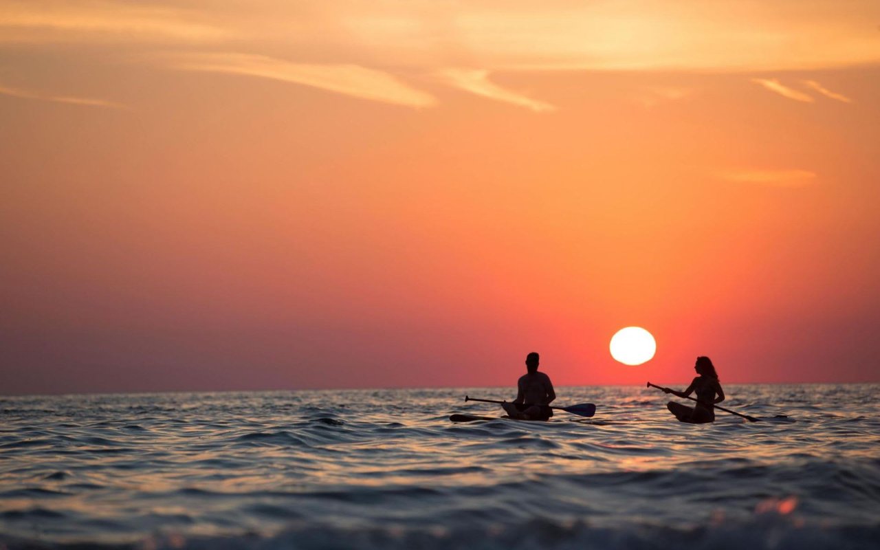 Summer Excitement in Shippan Point: Beach Days and Water Sports