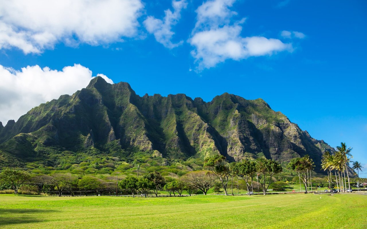 Ridges Near Diamond Head