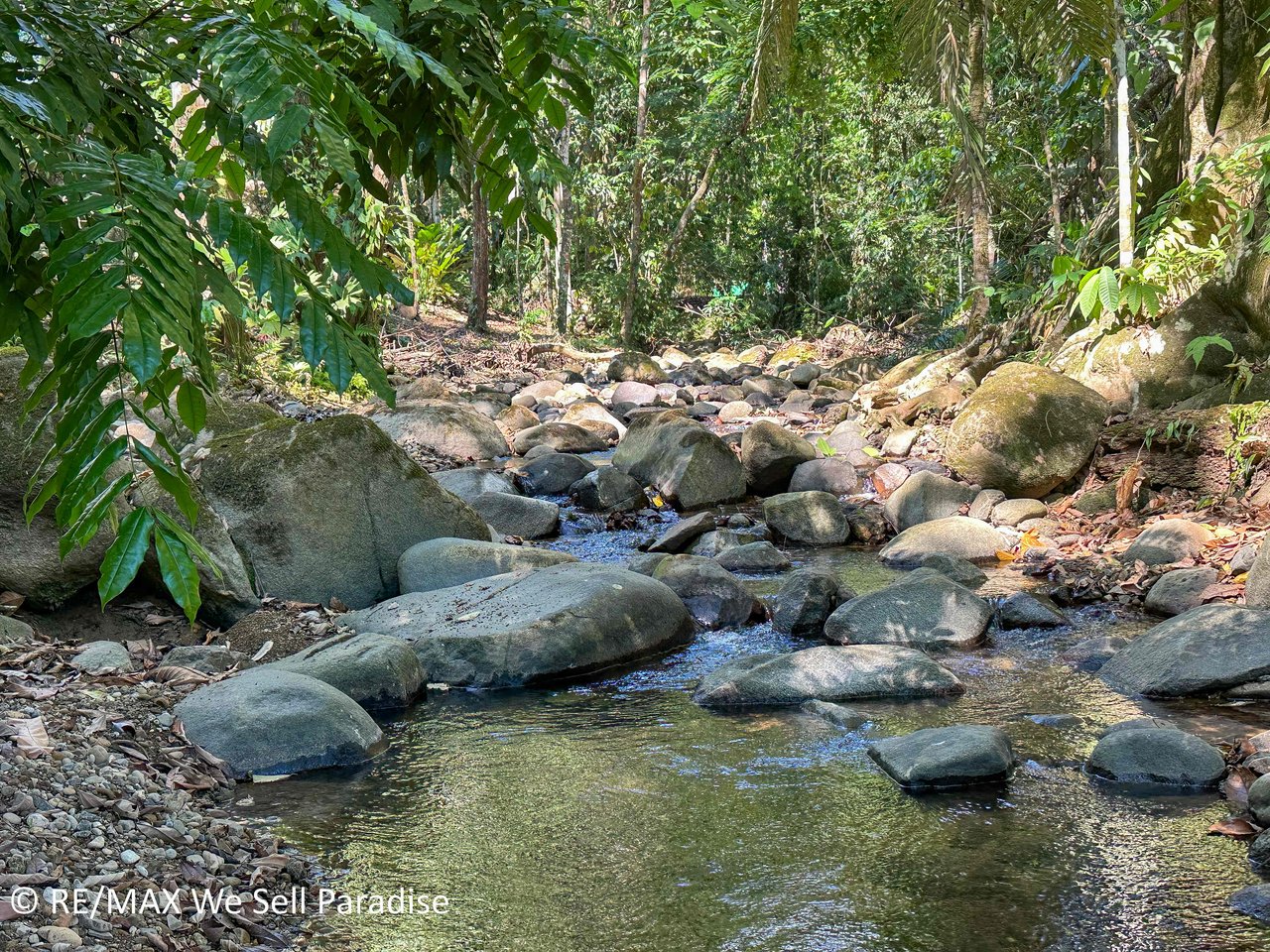 A large jungle-clad piece of land with mountain views, internal creek, and river frontage.