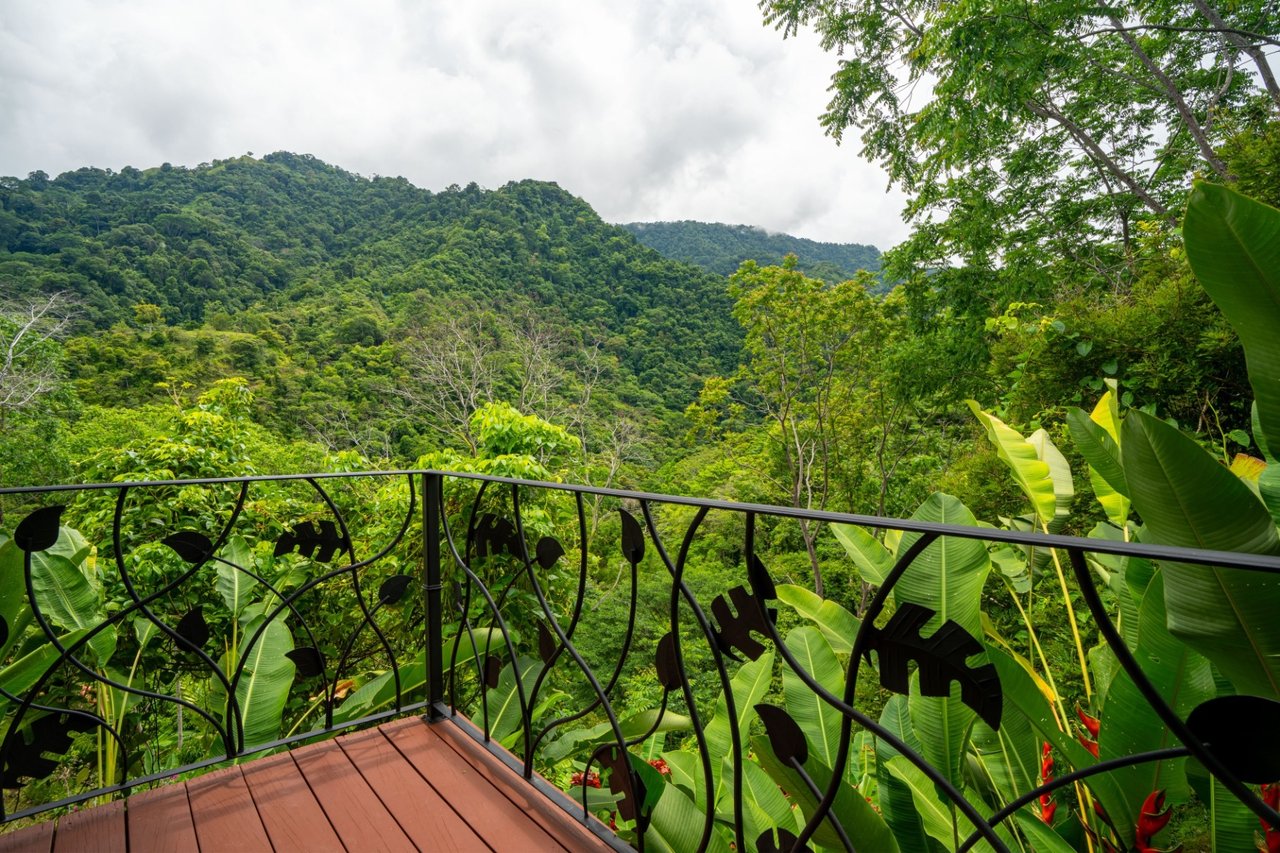 Waterfall Orchard Jungle Estate, Ojochal, Puntarenas