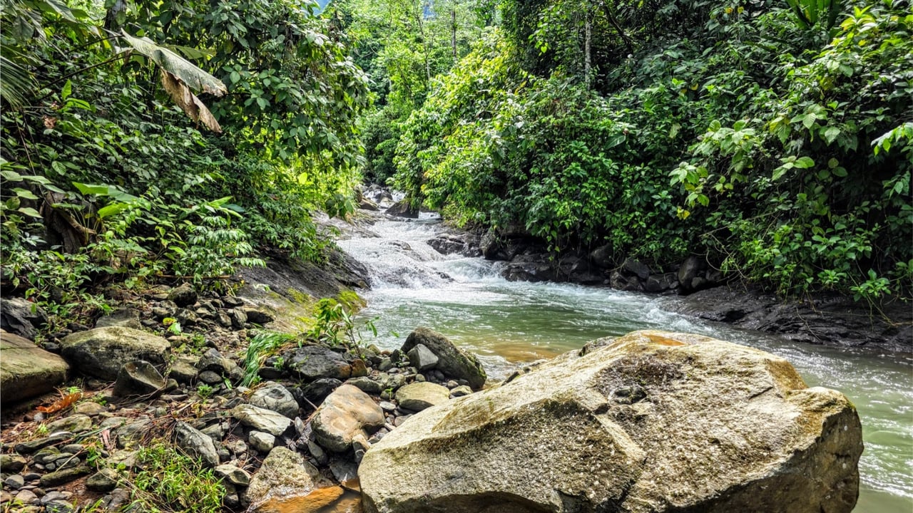 Rainforest Waterfall Acreage Estate, Dominical, Puntarenas