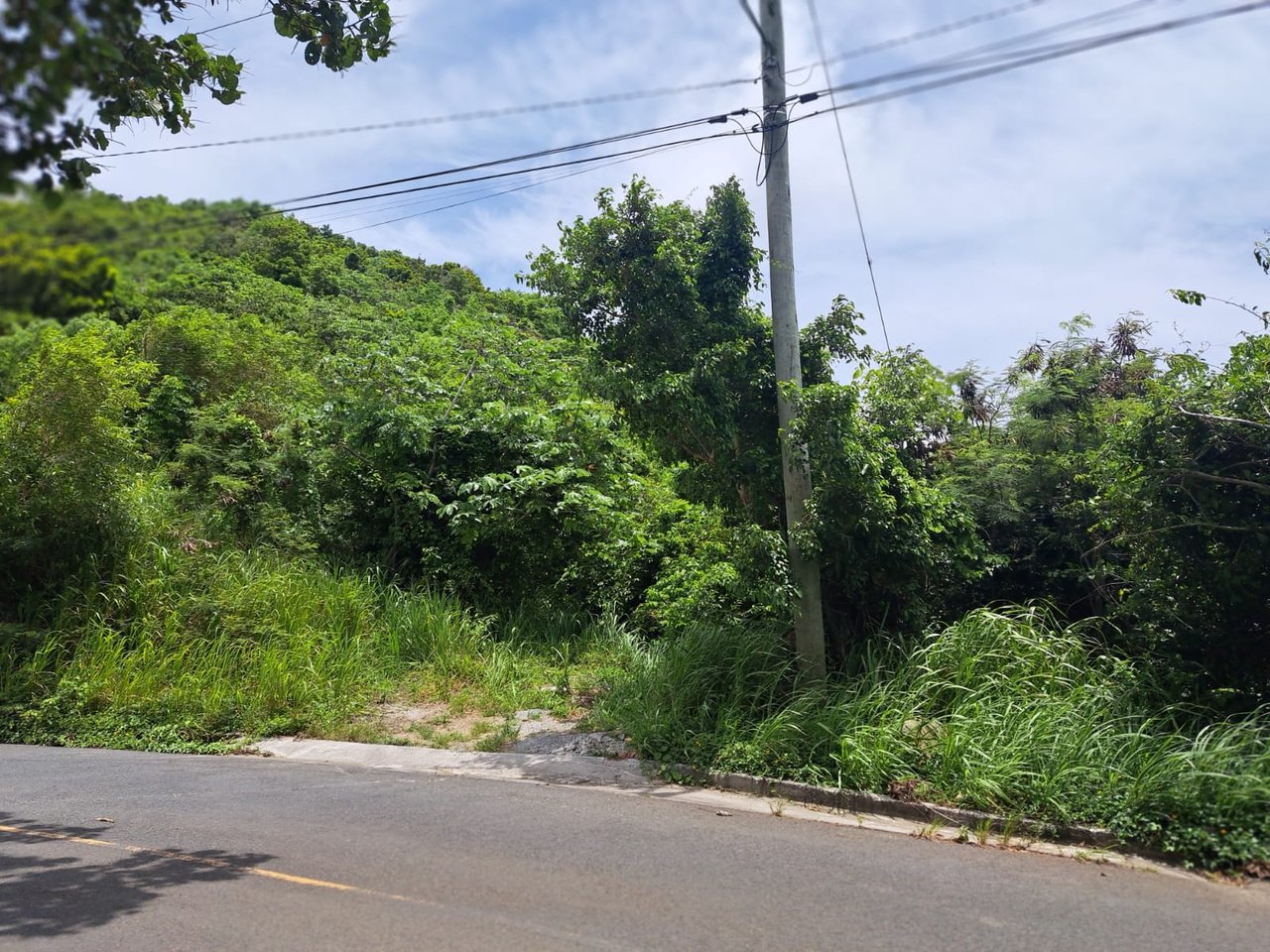 Cane Garden Bay (220)