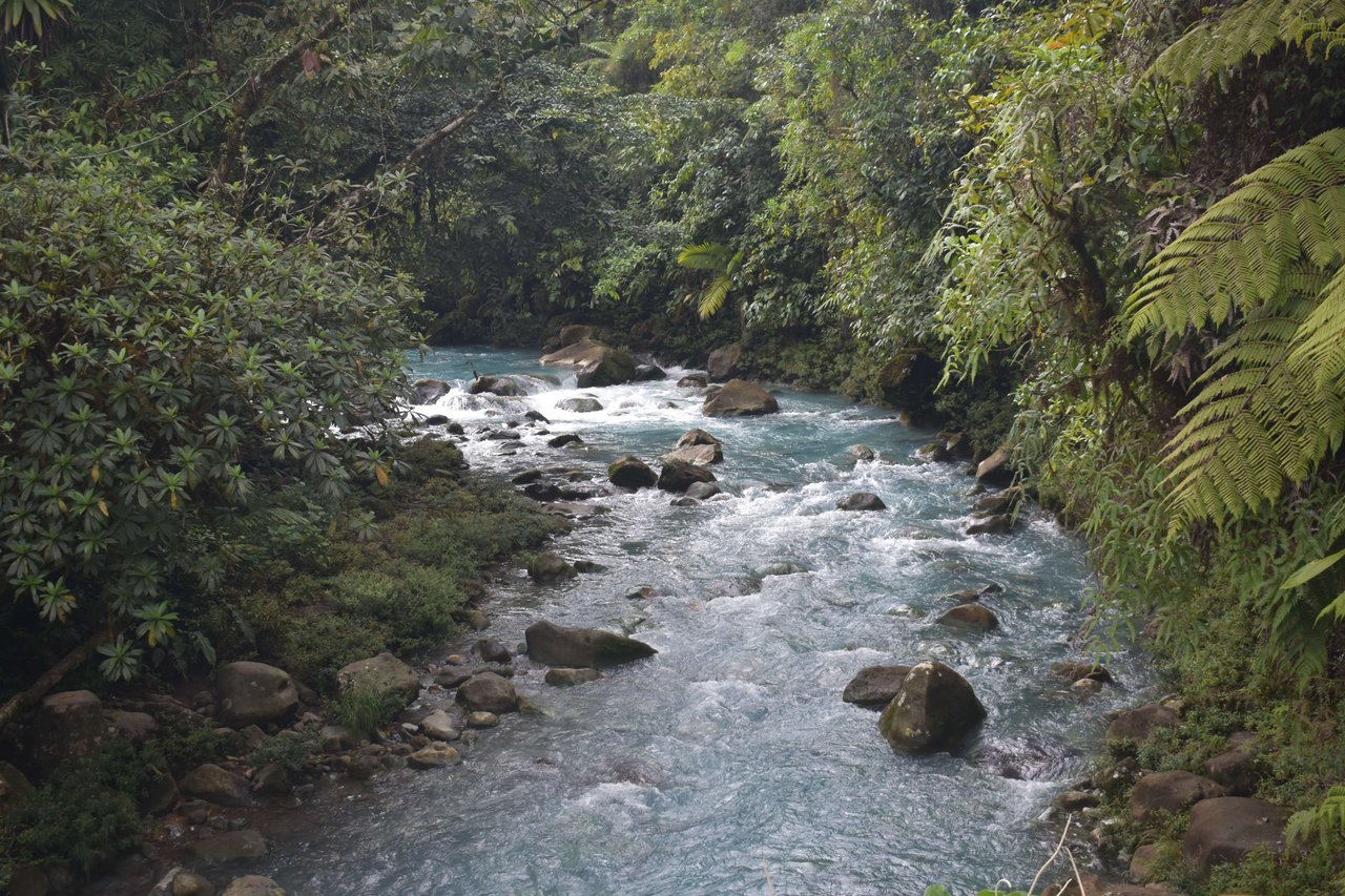 Villa Celeste Land | Embrace a unique 9-hectare Property along Rio Celeste