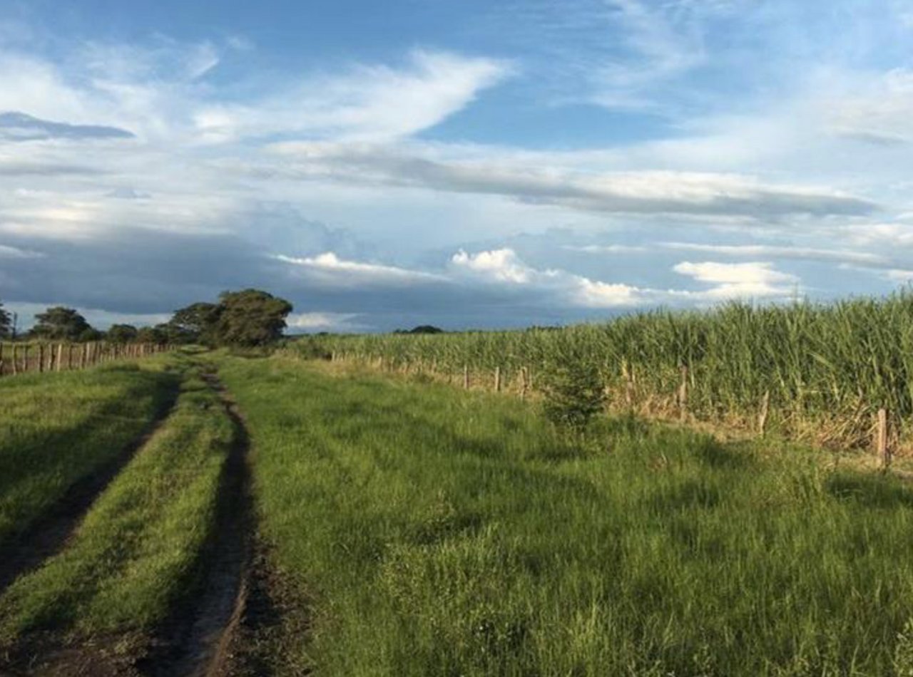 Strategic Cattle Ranch Development, Tamarindo, Guanacaste