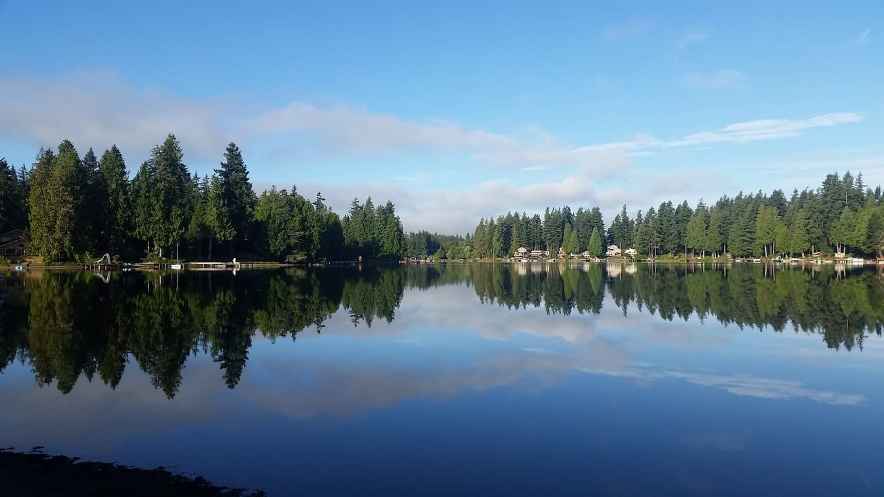 A lake surrounded by trees