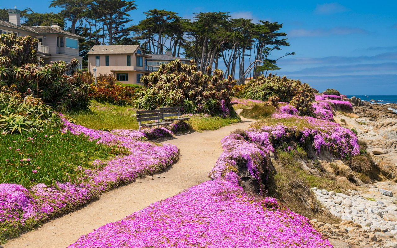 Pacific Grove