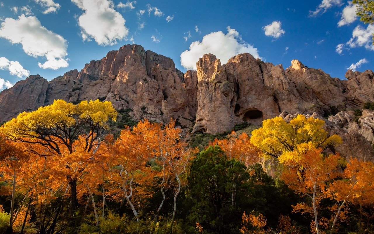 Cave Creek / Carefree