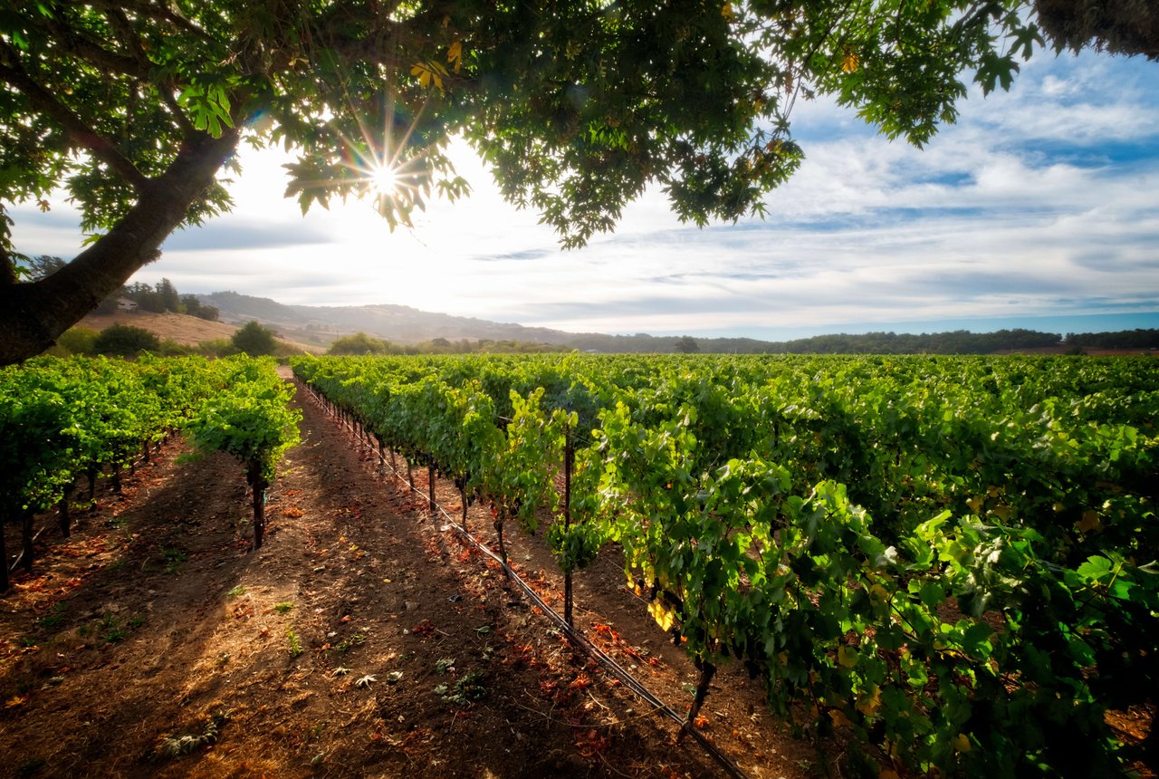 Healdsburg