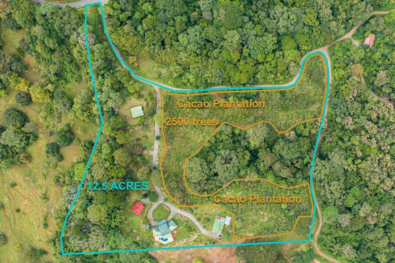 12.5 Acre Luxury Cacao Estate