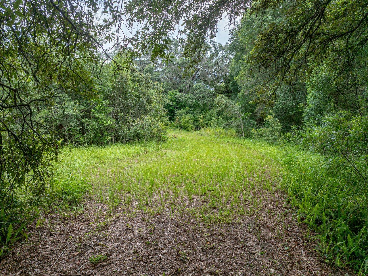 18240 MOUNT OLIVE DR