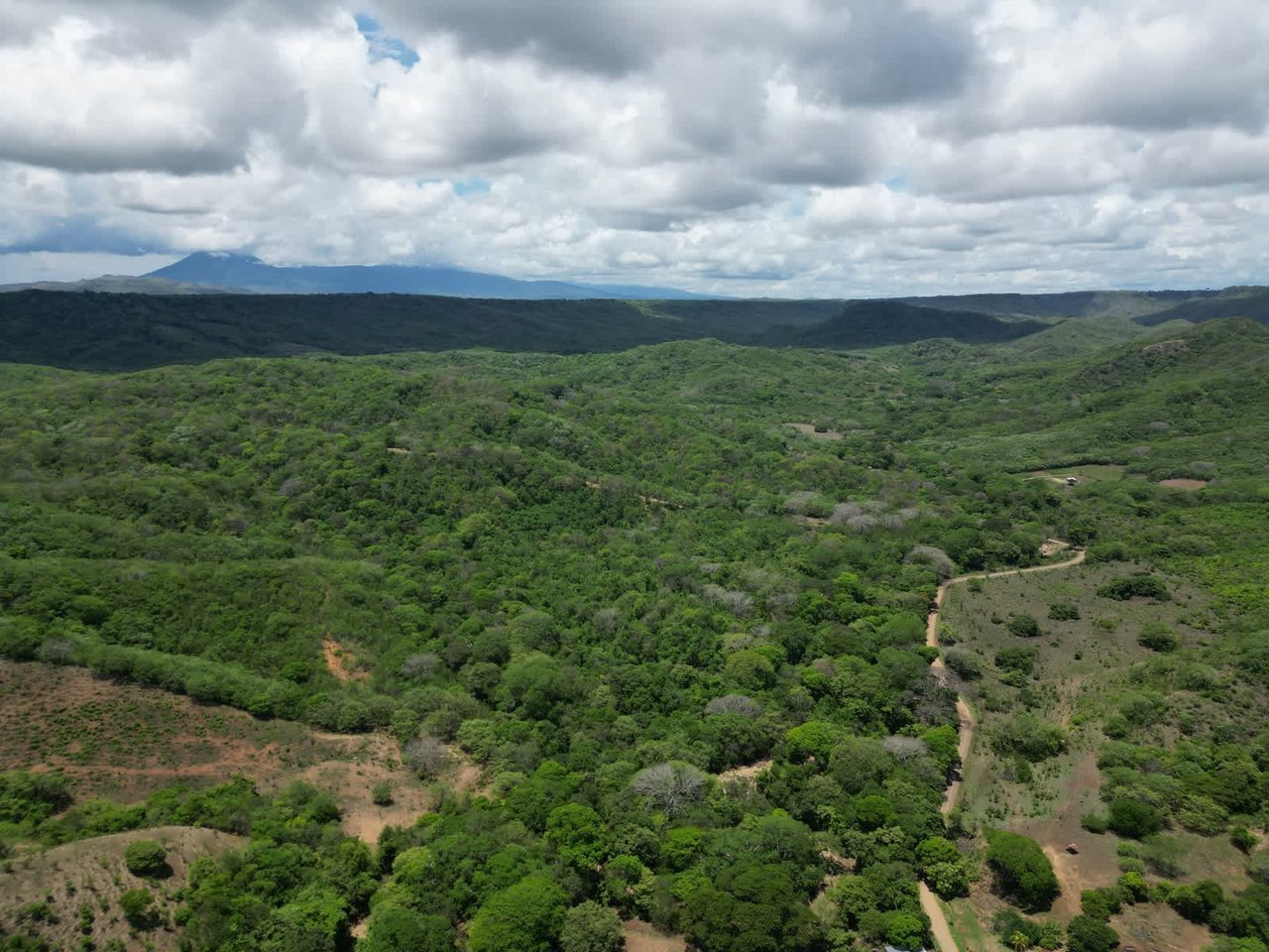 Finca Los Tamarindos