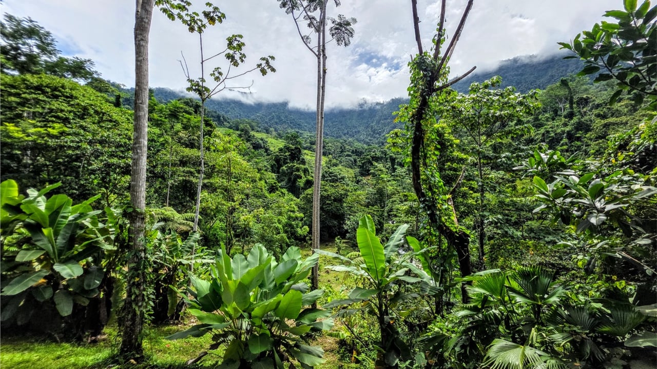 Rainforest Waterfall Acreage Estate, Dominical, Puntarenas