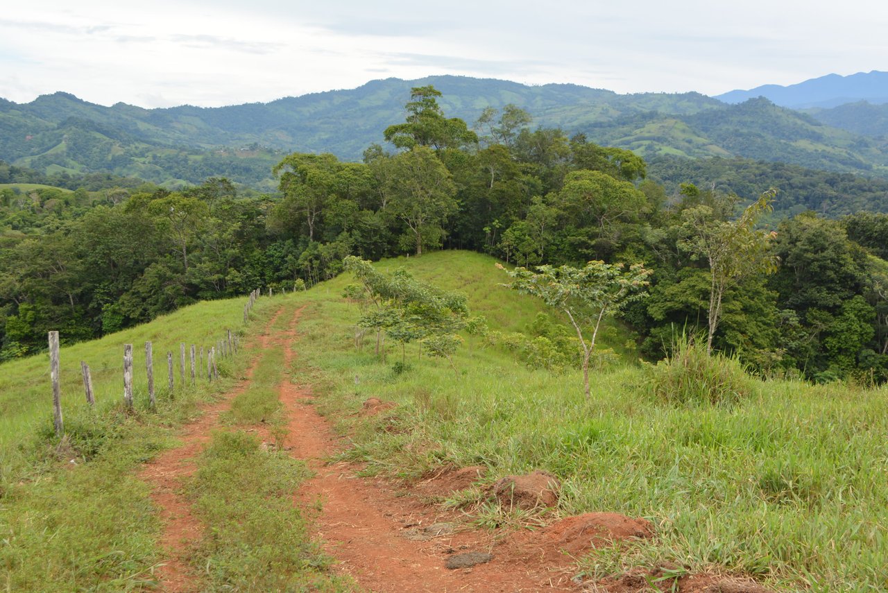 GORGEOUS 35 ACRES WITH WATERFALL AND 360 VIEWS 