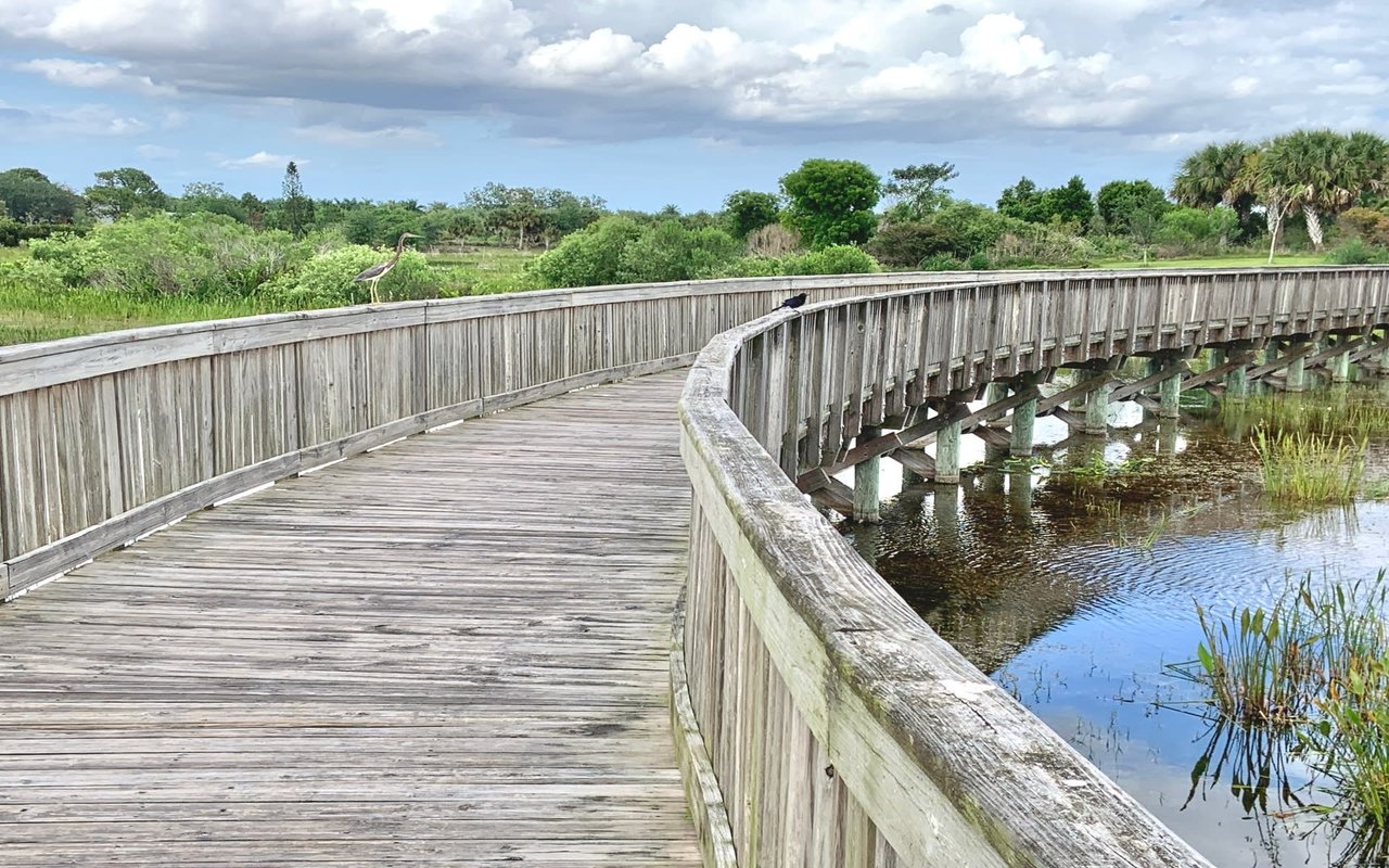 Wellington’s Equestrian Preserve