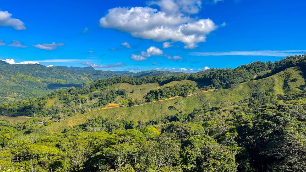 Boutique Hotel Rental Investment, Dominical, Puntarenas