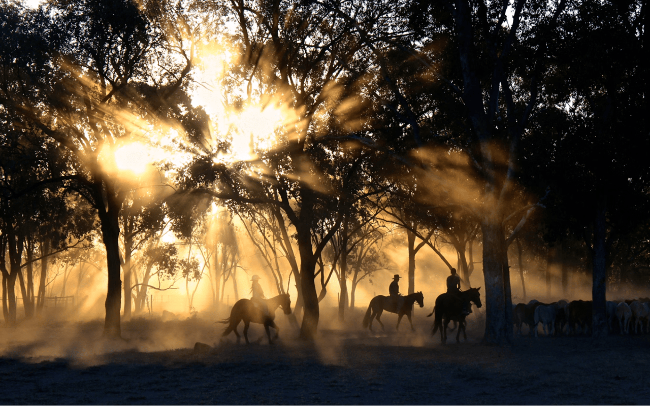 Escape to Luxury: Private Retreats, Horseback Riding, and Outdoor Adventures in Castle Rock