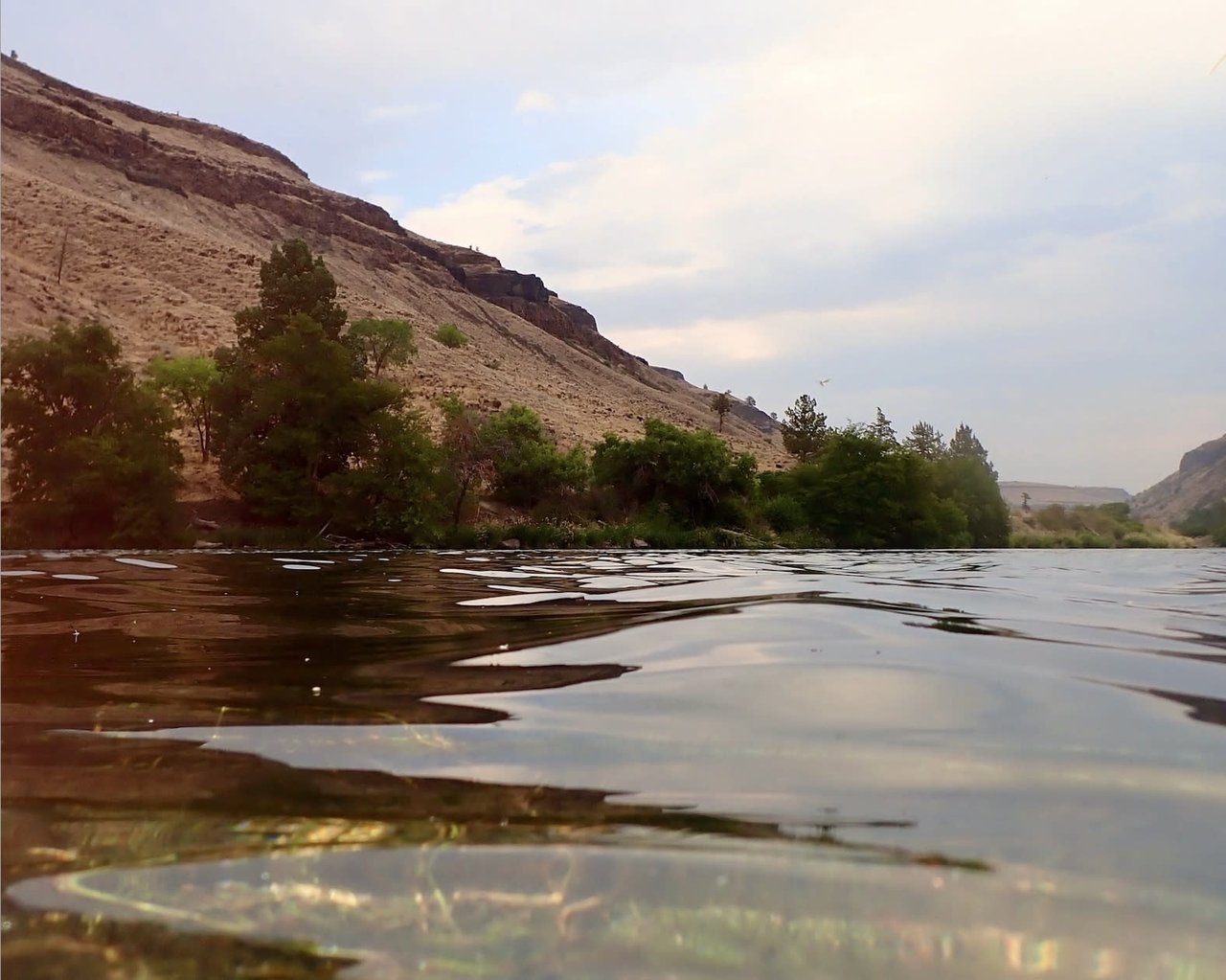 REAL ESTATE NEWS | MAY 2024