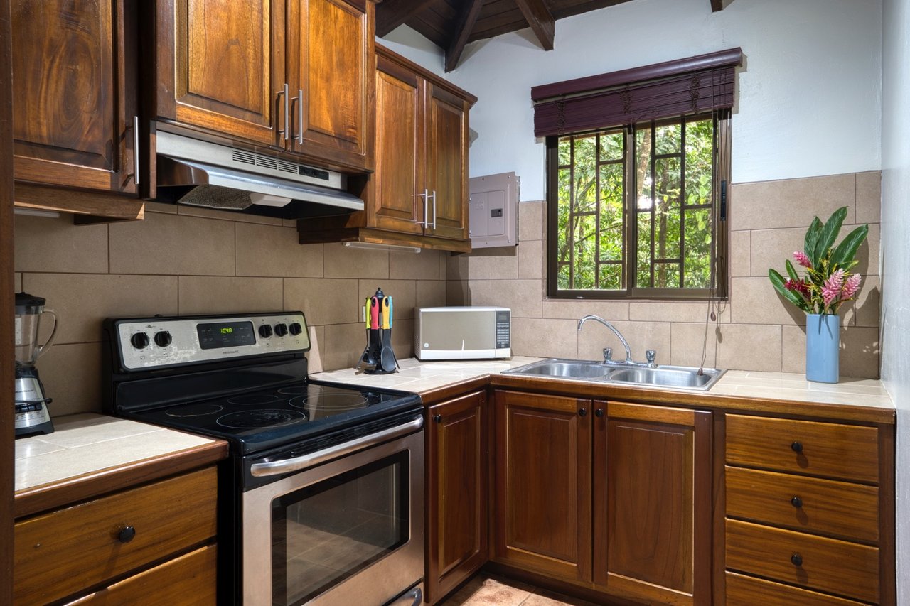 Secluded Jungle View Estate, Ojochal, Puntarenas