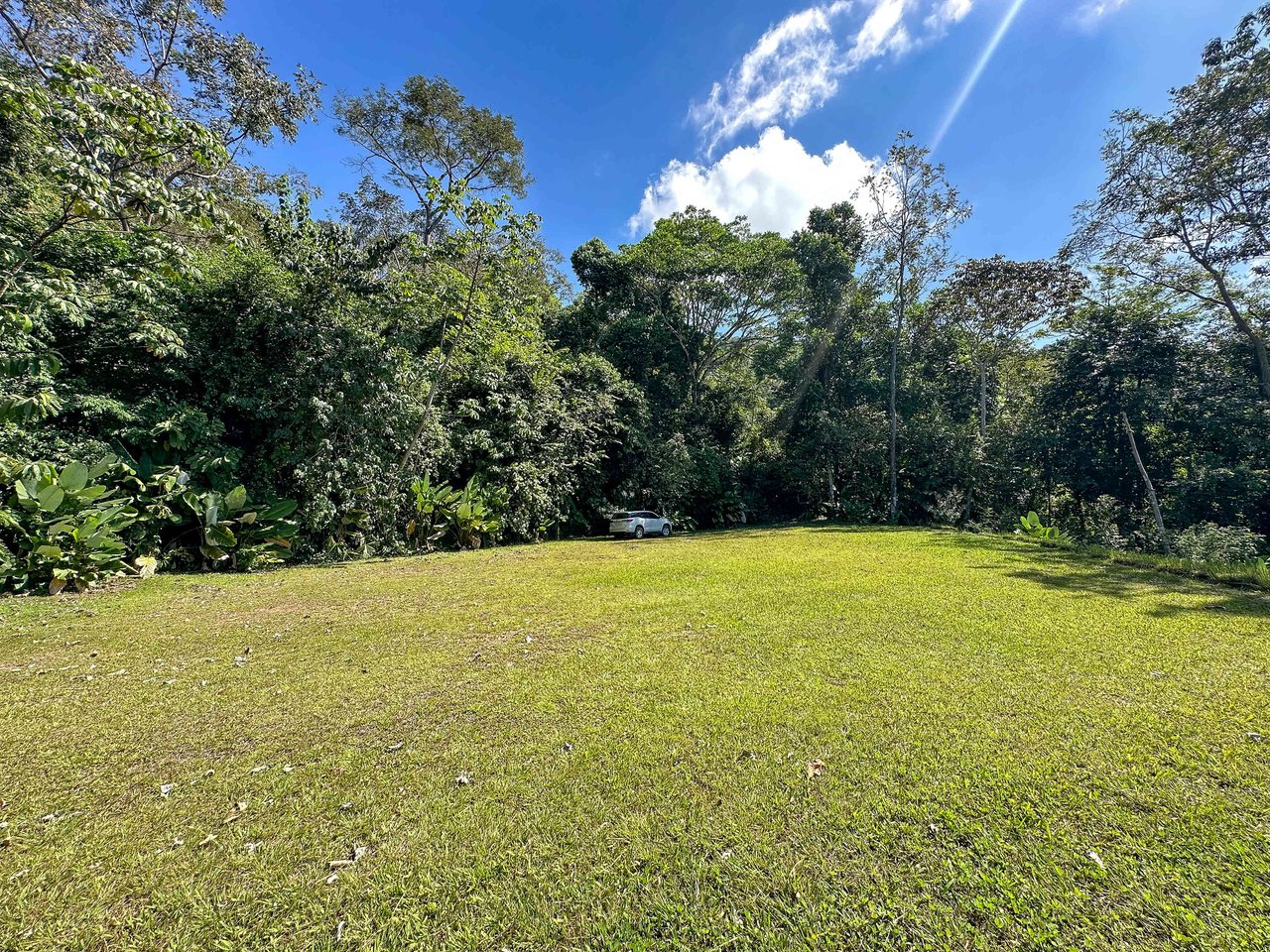 A prepared, 1.5 Acres jungle immersed lot with spectacular views of the Whale’s Tail. 