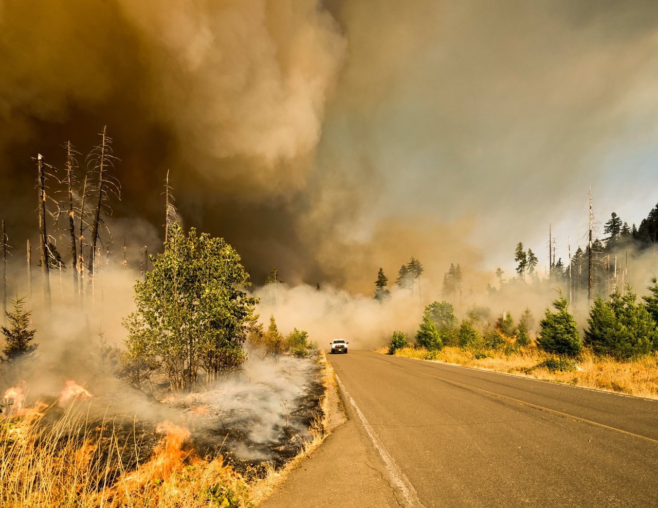 Why State Farm has decided not to insure homes in California