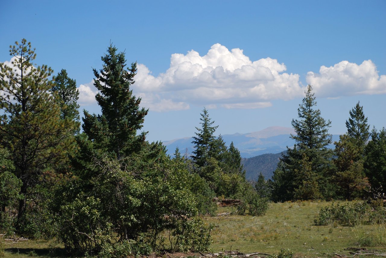 Elk Mountain Ranch