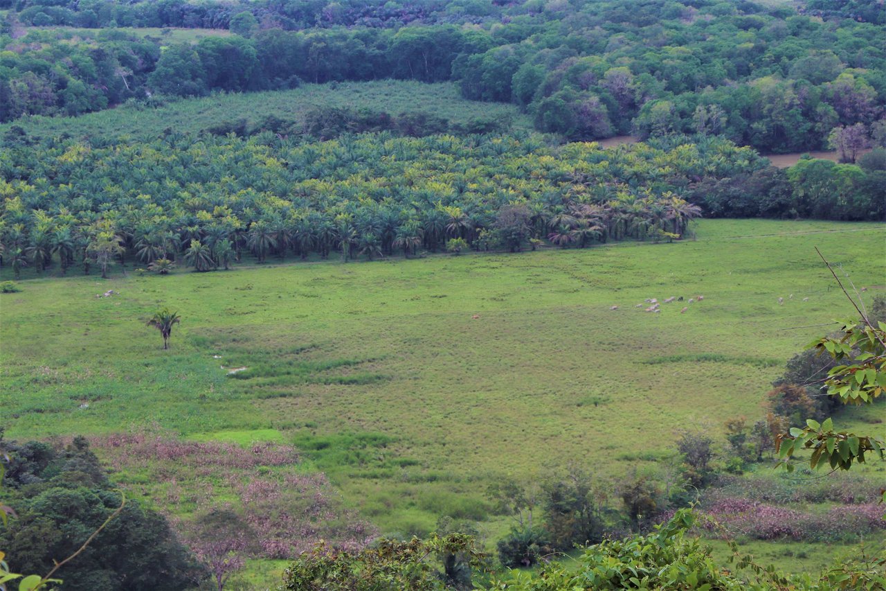 9 acres property with 360 panoramic views and 80m highway frontage