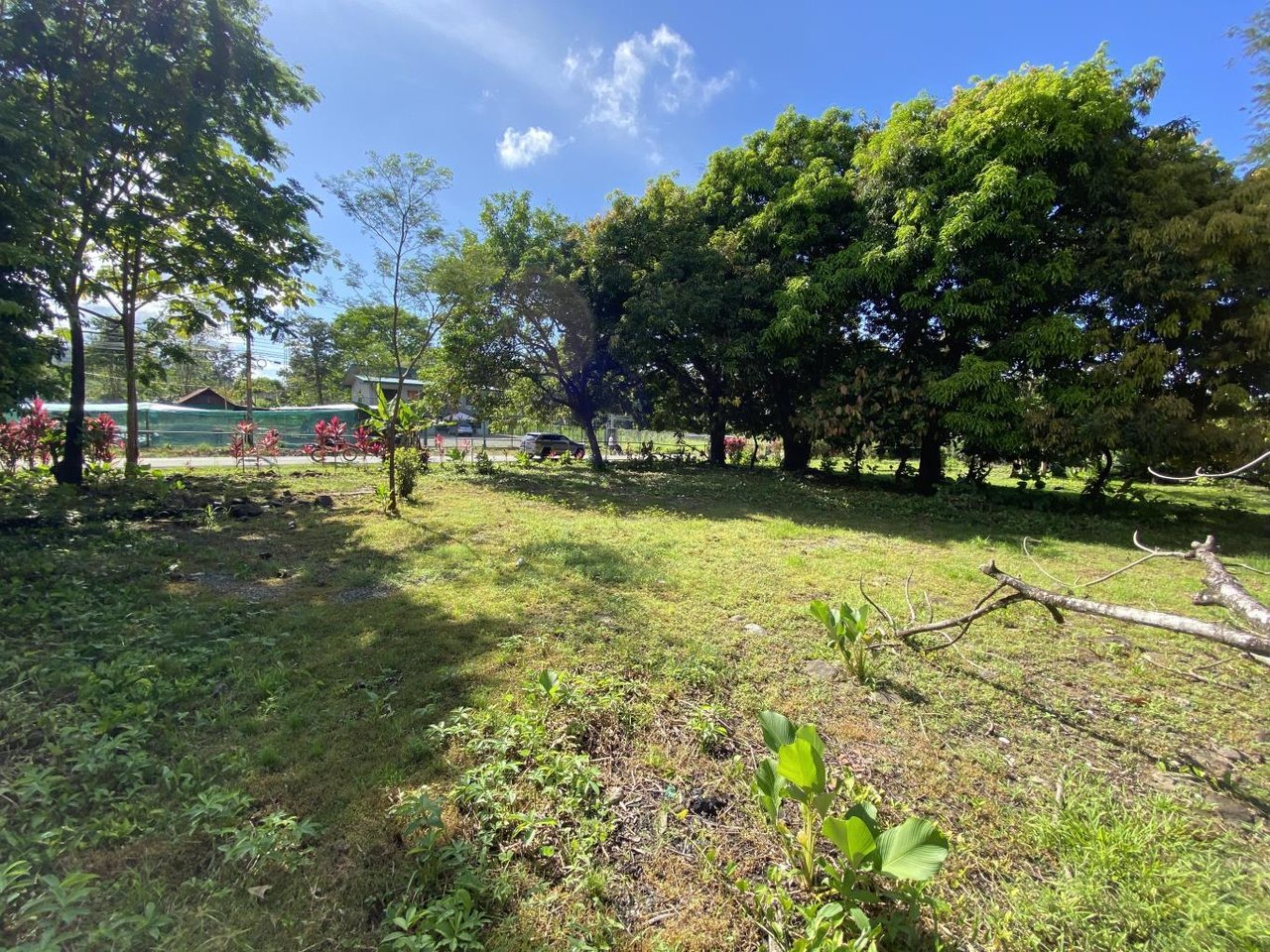 Flat And Usable Commercial Lot In The Heart Of Uvita With 90 Meters Paved Road Frontage!