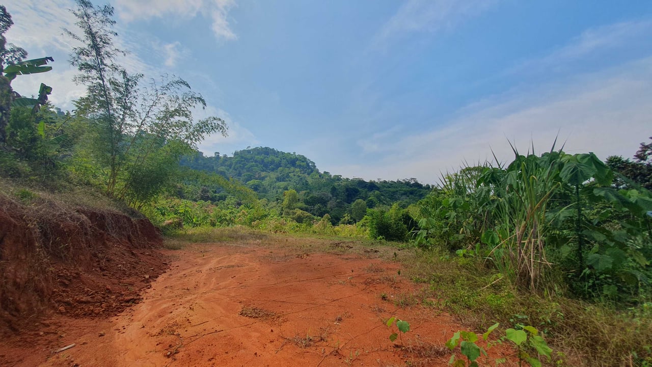 Peaceful Land for Sale