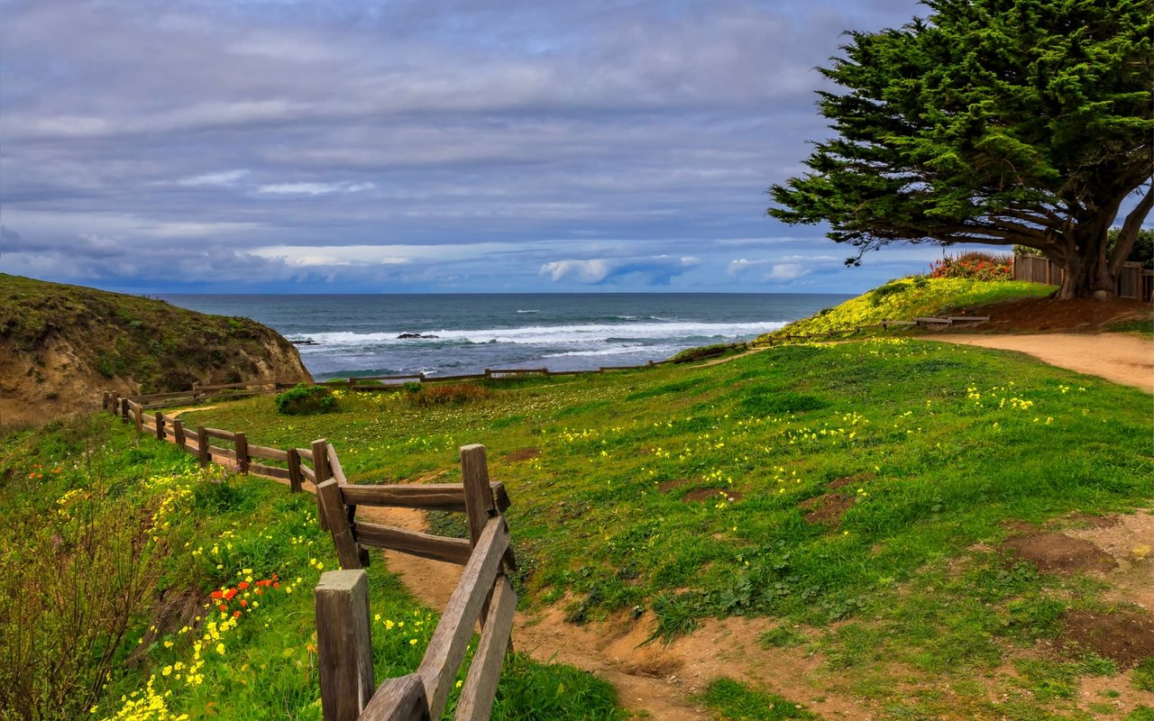 Moss Beach