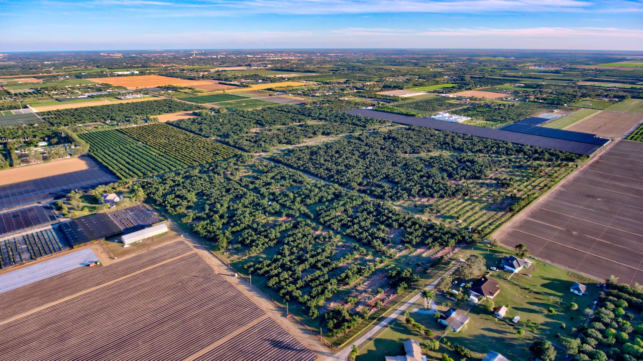 330 Acres of Avocado Groves