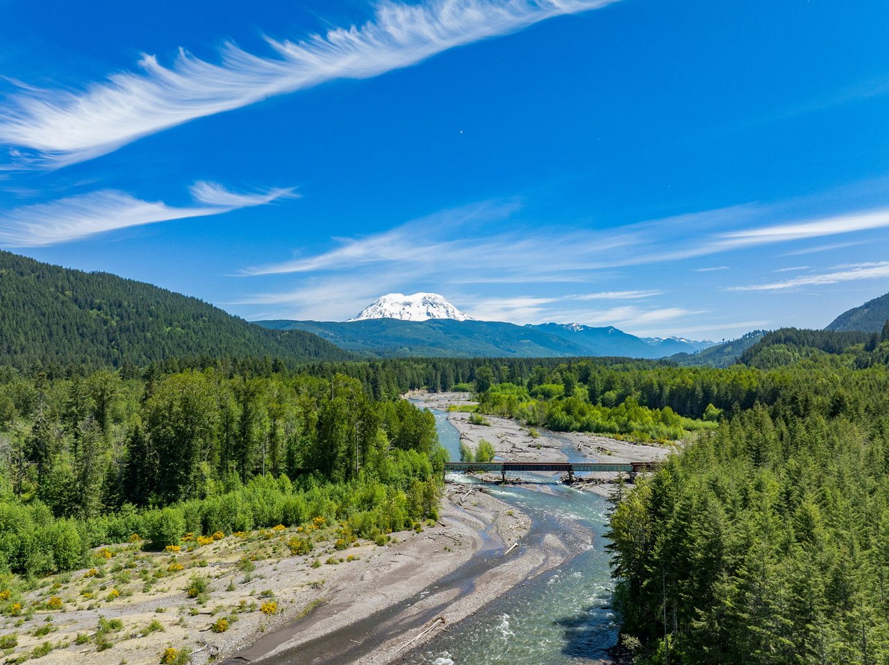 Mt. Rainier Paradise