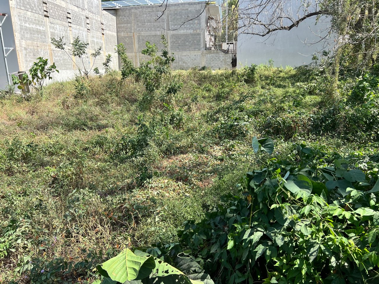 Prime Versatile Development Lot, Santa Teresa, Puntarenas